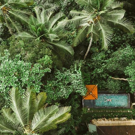 The Nest In Ubud, Bembengan Cottage Extérieur photo