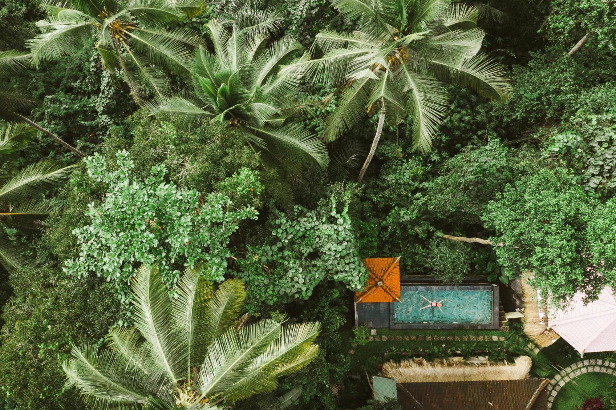 The Nest In Ubud, Bembengan Cottage Extérieur photo