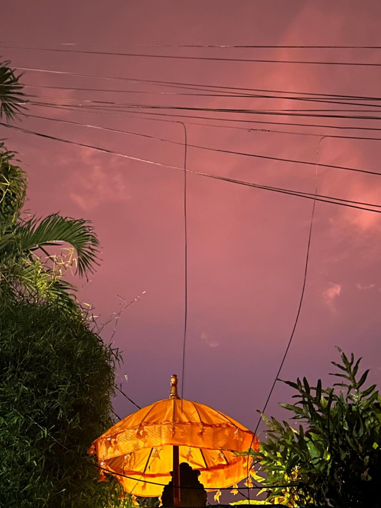 The Nest In Ubud, Bembengan Cottage Extérieur photo